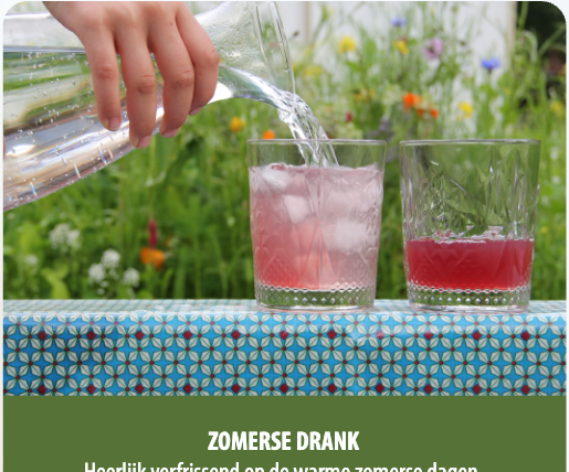 Afbeelding uit folder, pagina 35