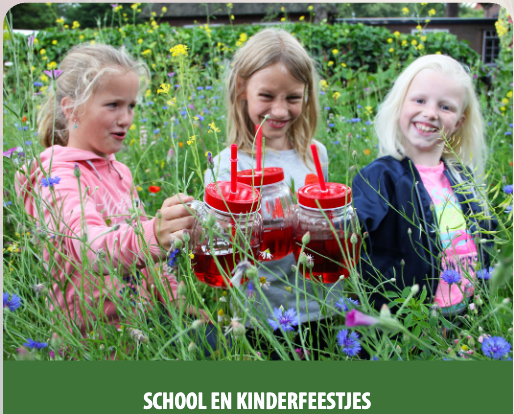 Afbeelding uit folder, pagina 35
