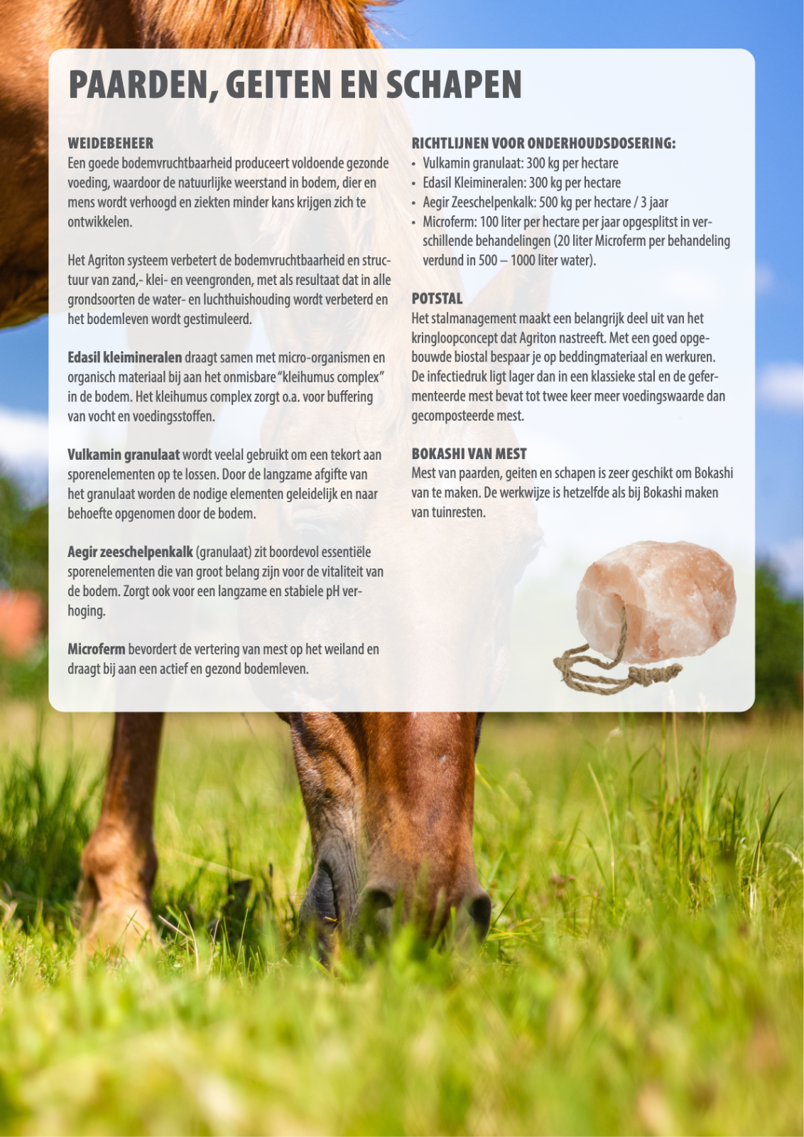 Afbeelding uit folder, pagina 40